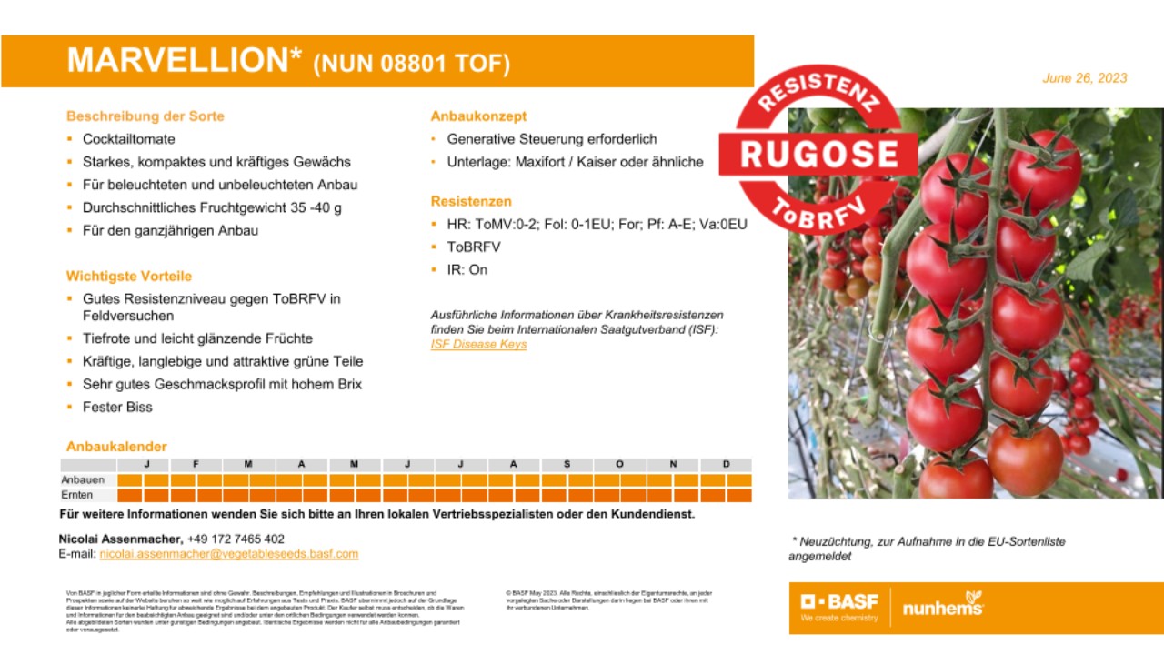 BASF Nunhems | Variety proFILE